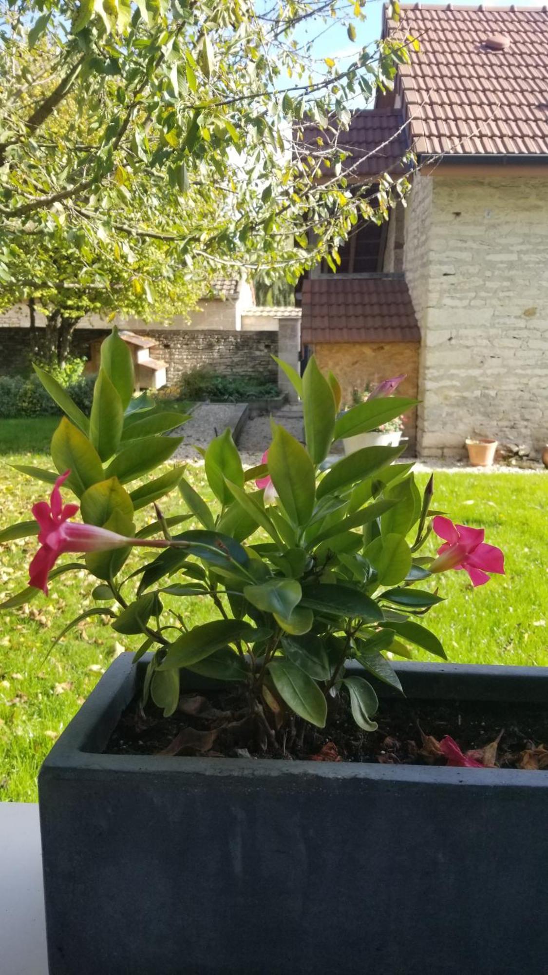Gite Du Ka'Lao Saint-Julien  Exteriör bild